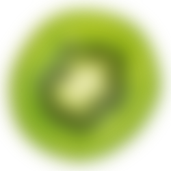 https://urbanagelateria.de/wp-content/uploads/2017/05/kiwi.png